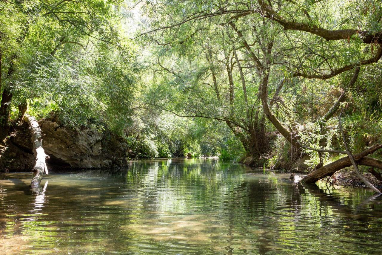 Casalinho In Portugal Country House Tomar Εξωτερικό φωτογραφία